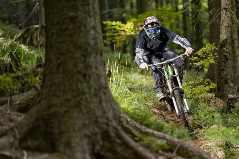 Mountainbiker rides on path in forest